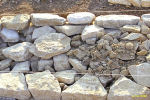 wall